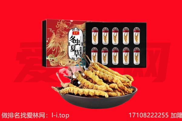 滨海县回收虫草.jpg